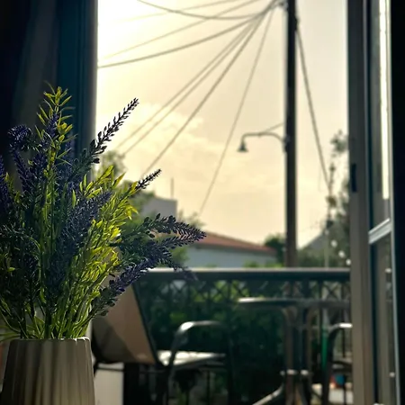 פלומרי Melinda'S Cozy Apartments מראה חיצוני תמונה